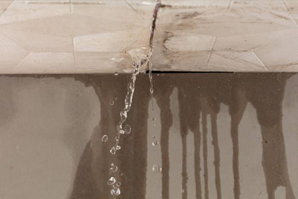 Professional Water Extraction technician working in East Norwich, NY